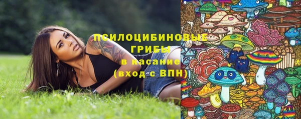 spice Богородск