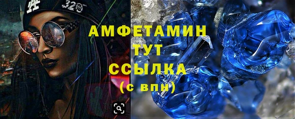 трава Богородицк