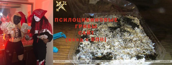 spice Богородск