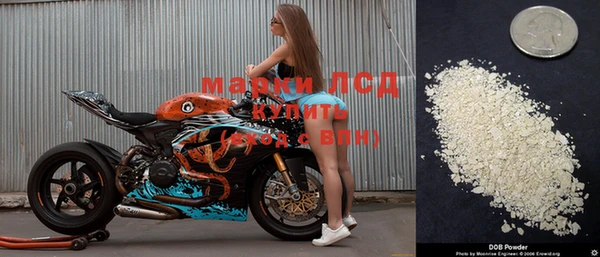 spice Богородск