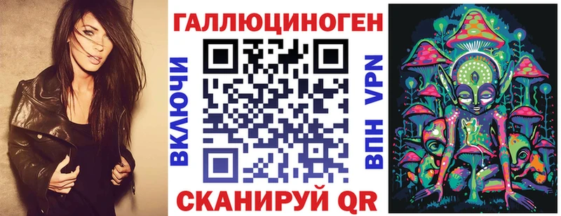 Псилоцибиновые грибы Psilocybe  Малая Вишера 