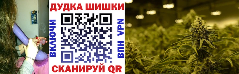 Конопля SATIVA & INDICA  Малая Вишера 